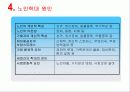 노인문제 15페이지