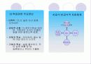 노인문제 22페이지