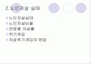노인문제 33페이지