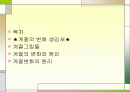 계절의 변화에 대해 2페이지