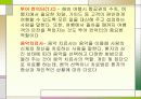 이색직업의 종류와 특색 4페이지