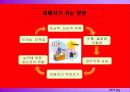 학교성희롱의 예방 31페이지