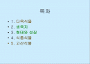 식물의분류 2페이지
