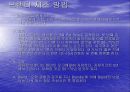 브랜디에 대한 모든것 5페이지