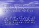브랜디에 대한 모든것 13페이지
