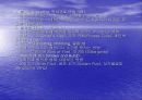 브랜디에 대한 모든것 18페이지