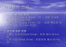 브랜디에 대한 모든것 19페이지