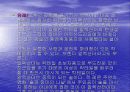 브랜디에 대한 모든것 23페이지