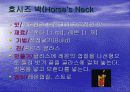 브랜디에 대한 모든것 30페이지