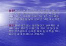 브랜디에 대한 모든것 31페이지