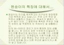 원숭이에 대하여 알아보자 3페이지