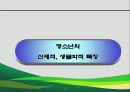 [청소년] 청소년의 특징 23페이지