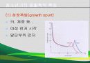[청소년] 청소년의 특징 24페이지