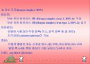 성병에 대하여… 5페이지