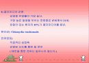 성병에 대하여… 18페이지