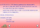 성병에 대하여… 23페이지