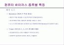 인터넷 이해와 활용 23페이지