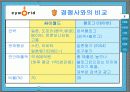 싸이월드 마케팅 분석 (4P , STP ,SWOT 분석)(A+레포트) 13페이지