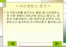 지구 온난화로인한 문제점과 대책 7페이지
