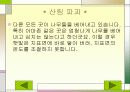 지구 온난화로인한 문제점과 대책 8페이지