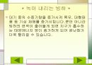 지구 온난화로인한 문제점과 대책 11페이지