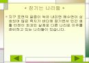 지구 온난화로인한 문제점과 대책 12페이지