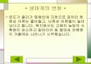 지구 온난화로인한 문제점과 대책 13페이지