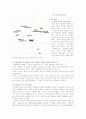 [마케팅] 서울우유의 새로운 브랜드 마케팅 전략 6페이지