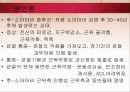소아마비 파워포인트 12페이지