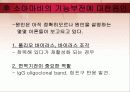 소아마비 파워포인트 18페이지