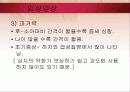 소아마비 파워포인트 25페이지