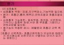 소아마비 파워포인트 29페이지