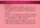 소아마비 파워포인트 39페이지