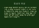 태양계의 보석 토성 12페이지