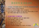 [경영학] 손목시계형 GPS 회사 창업 전략 19페이지