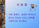 [경영학] 손목시계형 GPS 회사 창업 전략 23페이지