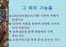 [경영학] 손목시계형 GPS 회사 창업 전략 26페이지
