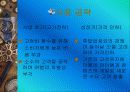 [경영학] 손목시계형 GPS 회사 창업 전략 29페이지