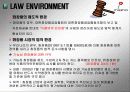 [마케팅] 미샤의 명품브랜드화 전략 10페이지