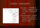 단백질 합성 6페이지