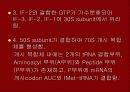 단백질 합성 12페이지