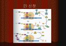 단백질 합성 13페이지