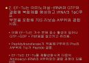 단백질 합성 15페이지