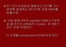 단백질 합성 16페이지
