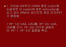 단백질 합성 18페이지