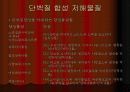 단백질 합성 27페이지