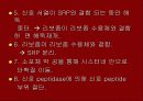 단백질 합성 30페이지