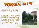 독일의 유아교육 파워포인트 3페이지