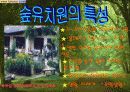 독일의 유아교육 파워포인트 6페이지