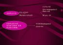세계 여러나라의 유아교육 파워포인트 7페이지
